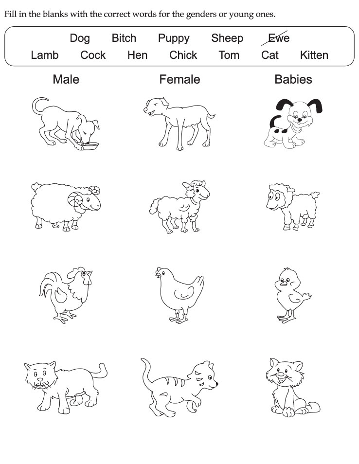 Download english activity worksheet fill in the blanks with the correct  words for the genders or young ones from 