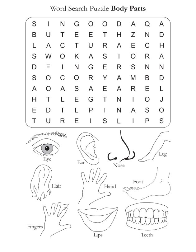 Word Search Puzzle Body Parts Download Free Word Search Puzzle Body