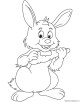 Rabbit Coloring Page