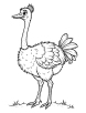 Ostrich in nature coloring page