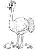 Ostrich with eggs coloring page