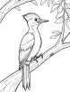 Woodpecker perched coloring page