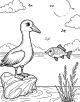 Albatross Coloring Page