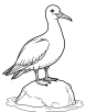 Albatross nesting coloring page