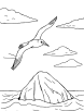 Albatross soaring in the sky coloring page