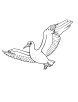 Albatross wingspan coloring page