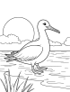 Albatross with a sunset coloring page