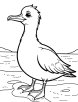 Albatross with ocean coloring page 1