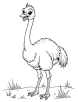 Angry ostrich coloring page