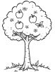 Apple tree coloring page