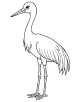 Crane Bird Coloring Page