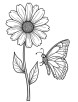 Aster flower with butterfly coloring page