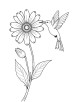 Aster flower and hummingbird coloring page