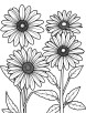 Aster flower in garden coloring page