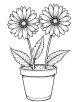 Aster flower in pot coloring page