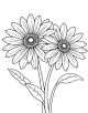 Aster Flower Coloring Page