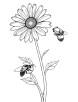 Aster flower with bees coloring page