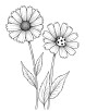 Aster flower with ladybug coloring page