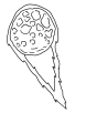 Asteroid coloring page