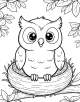 Owl Coloring Page