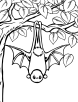 Bat hanging from a tree coloring page