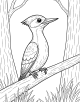 Woodpecker Coloring Page