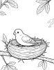 Canary nest coloring page