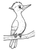 Cartoon woodpecker coloring page