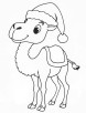 Christmas camel coloring page