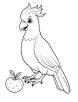 Cockatoo bird with fruit coloring page