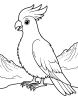 Cockatoo bird with mountains coloring page