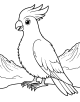 Cockatoo Coloring Page