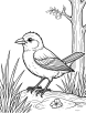 Common blackbird habitat coloring page