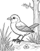 Common Blackbird Coloring Page