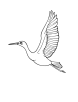 Crane bird in flight coloring page