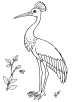 Crane Bird Coloring Page