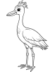 Crane bird coloring page