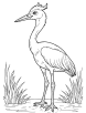 Crane in a marsh coloring page