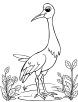 Crane bird looking back coloring page