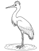 Crane standing in water coloring page