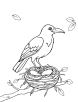 Crow bird and nest coloring page