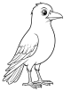 Crow Coloring Page