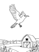 Crow flying over a farm coloring page