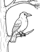 Crow Coloring Page