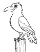 Crow on a wooden post coloring page