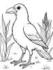 Crow with cornfield coloring page