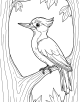 Woodpecker Coloring Page