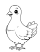 Pigeon Coloring Page