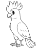 Cockatoo Coloring Page