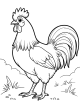 cock rooster coloring page